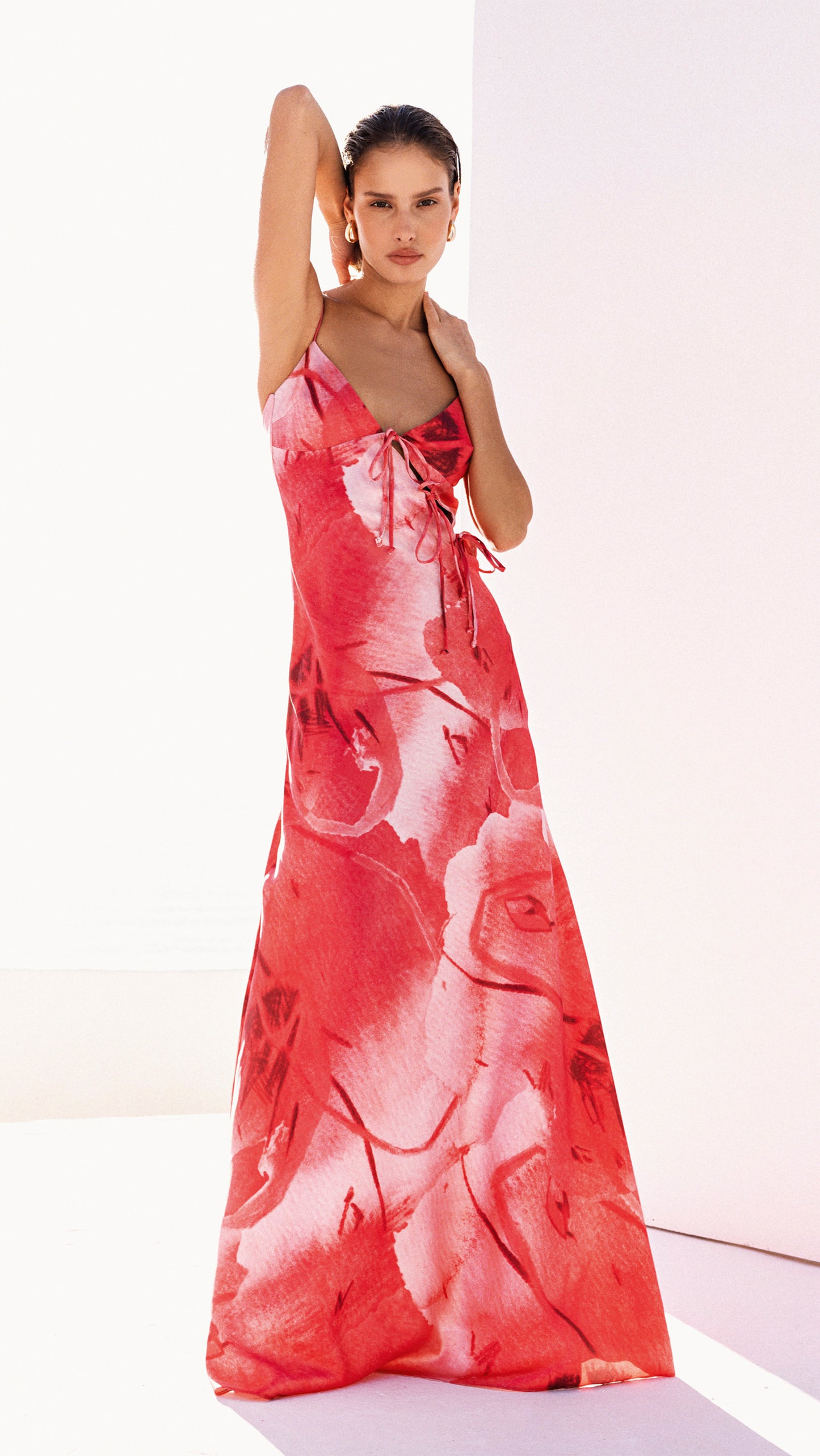 Laurence Rose Print Maxi Dress
